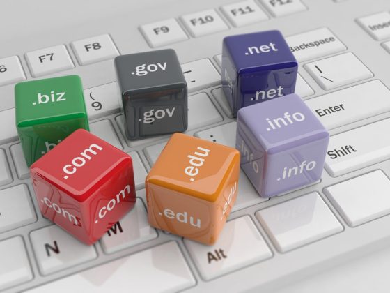 Country codes: The global dynamics of domain hosting – Open Access Government