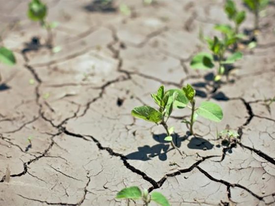Policy Brief: Monthly Forecast September 2019: A Race We Can Win … – IISD's SDG Knowledge Hub