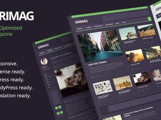 Grimag, an Ad Optimized WordPress Theme that Will Keep Ad Blockers Away – Designmodo