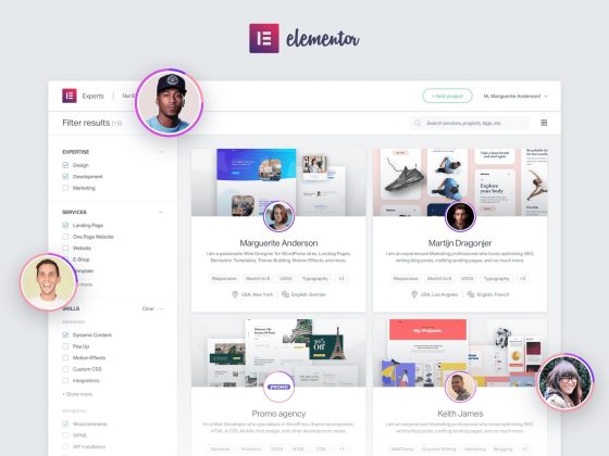 Elementor Expedites the Launch of 'Experts' Network for Professional Web Creators to Bolster Their Online Business in … – PR Newswire